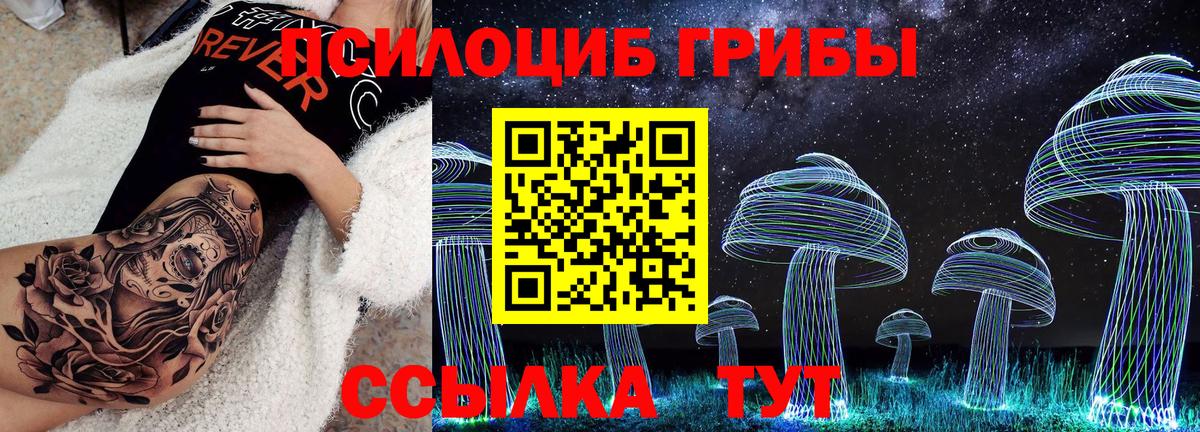 Псилоцибиновые грибы мухоморы Домодедово