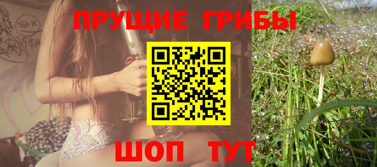Домодедово  Псилоцибиновые грибы Psilocybe  Вход с VPN 
